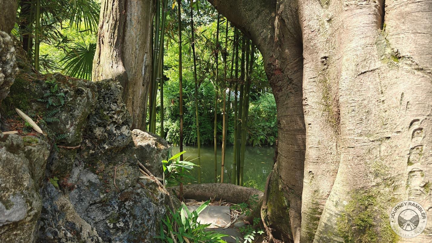 Lotus Pond from afar