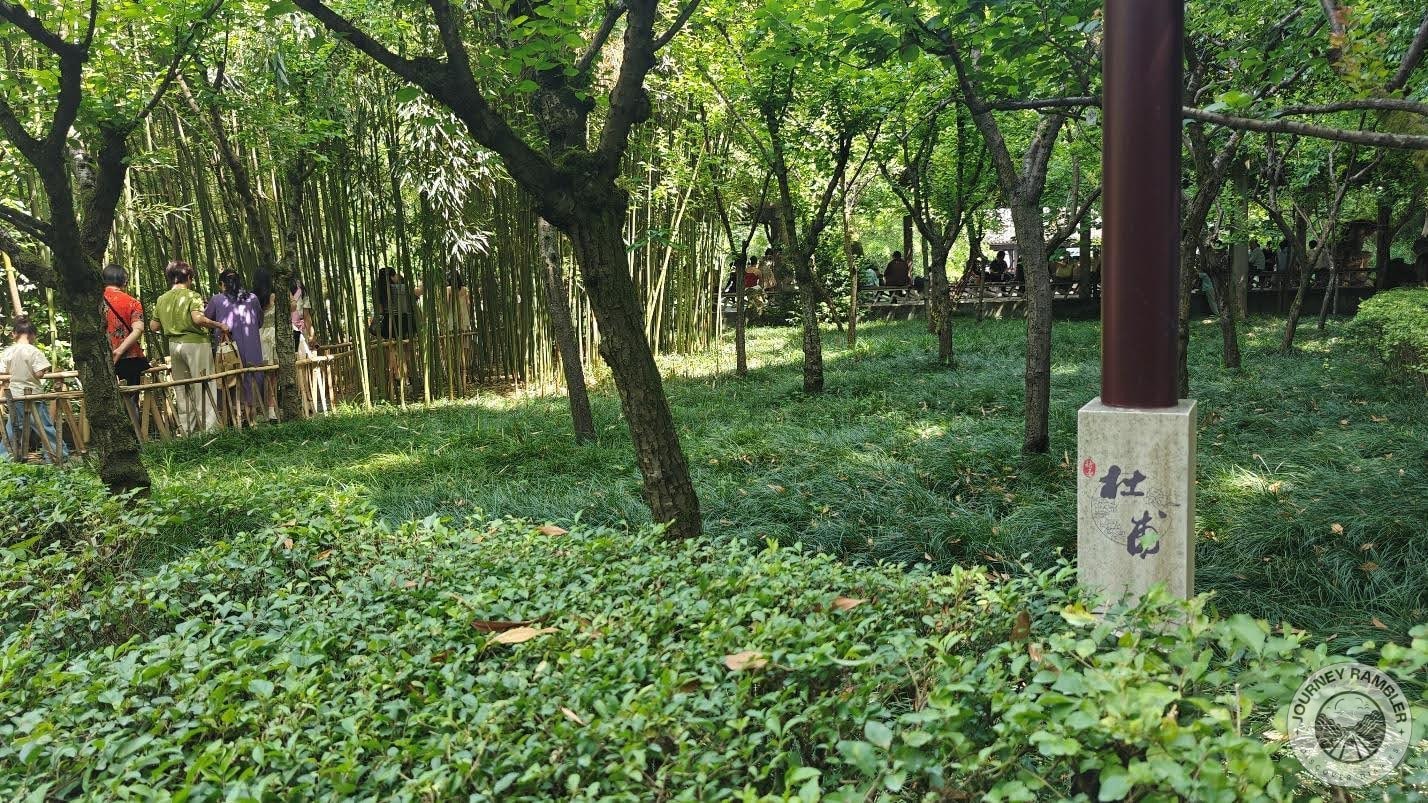 Panoramic View Pavilion