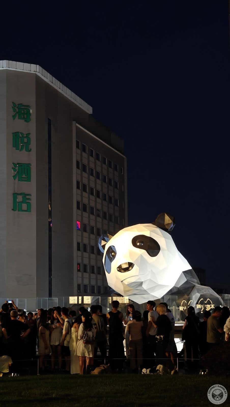 clear look at the IFS Panda’s face