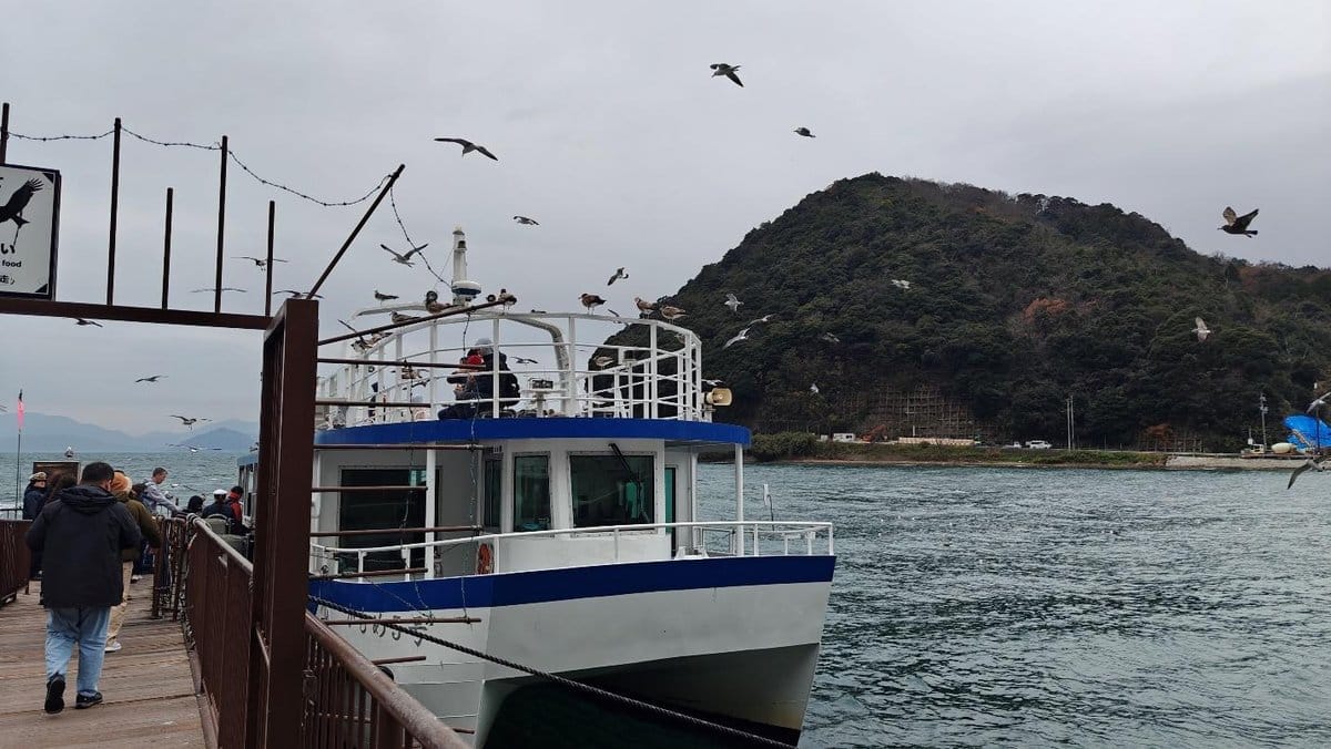 Ferry at dock with passengers boarding, seagulls flying overhead.