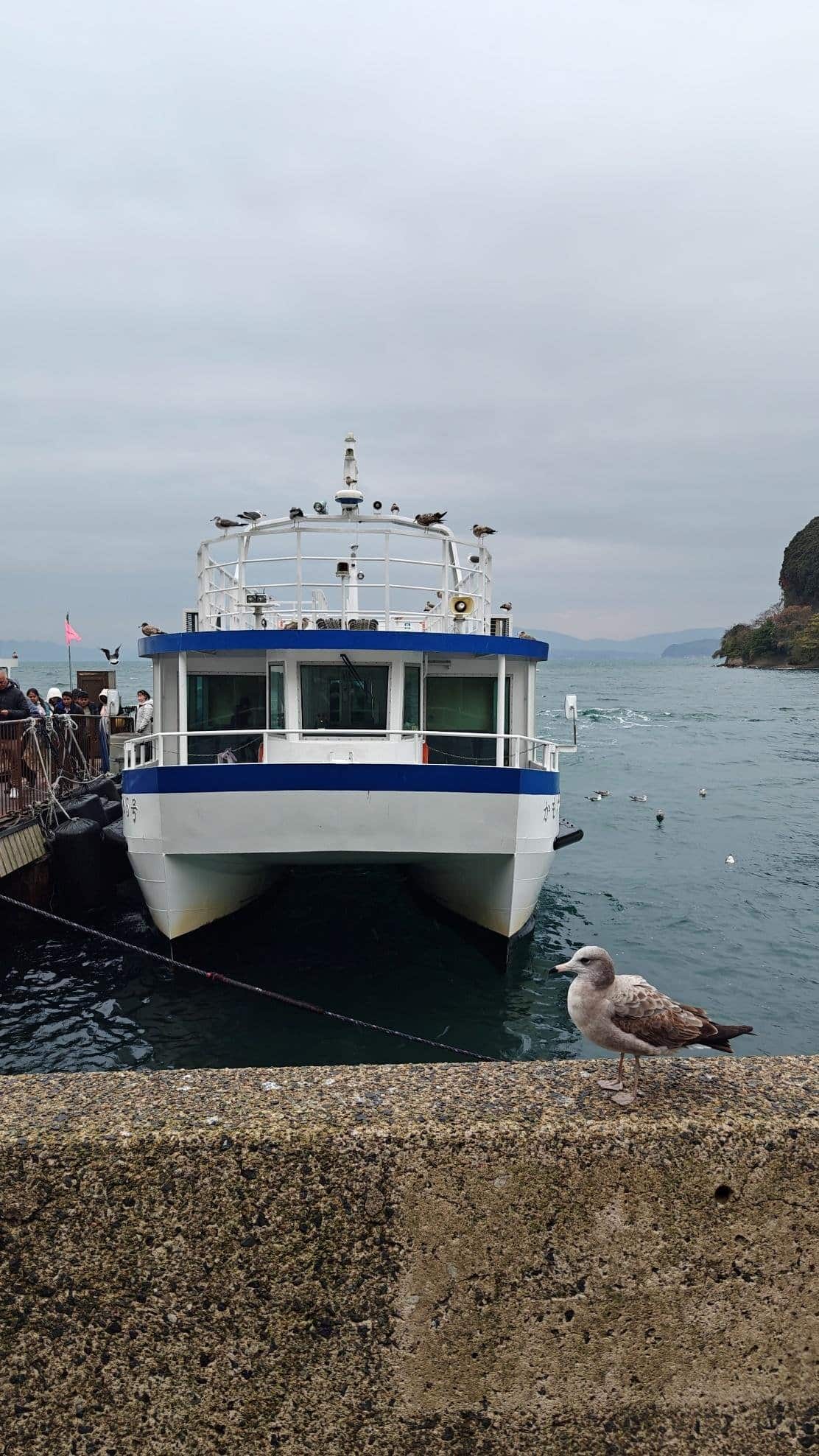 Ferry docked by pier under cloudy sky with seagull perched in foreground.