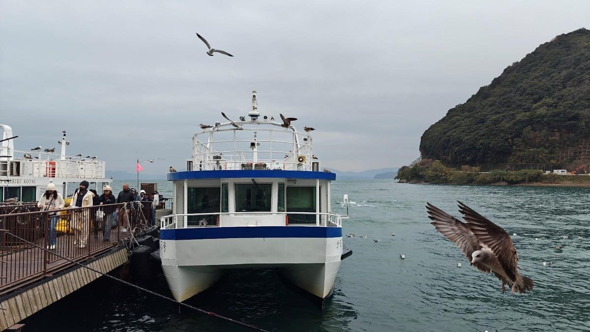 Ferry docked with passengers and seagulls, overcast sky, green hillside.