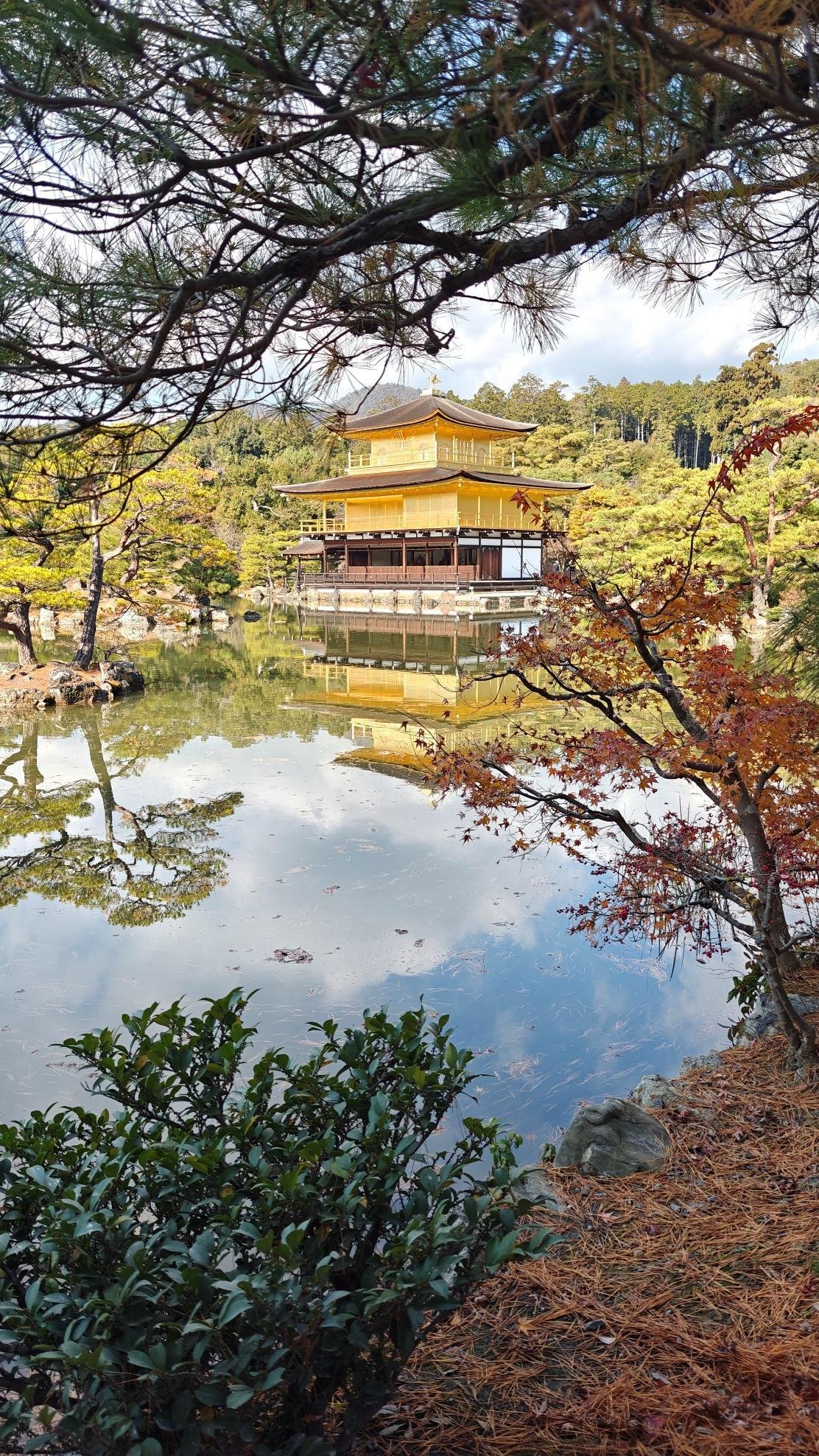 Golden pavilion reflected in tranquil pond amid lush greenery.