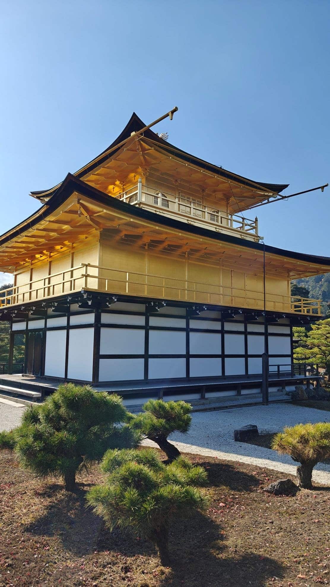 Golden pavilion with tiered roof, blue sky, and pine trees in foreground.