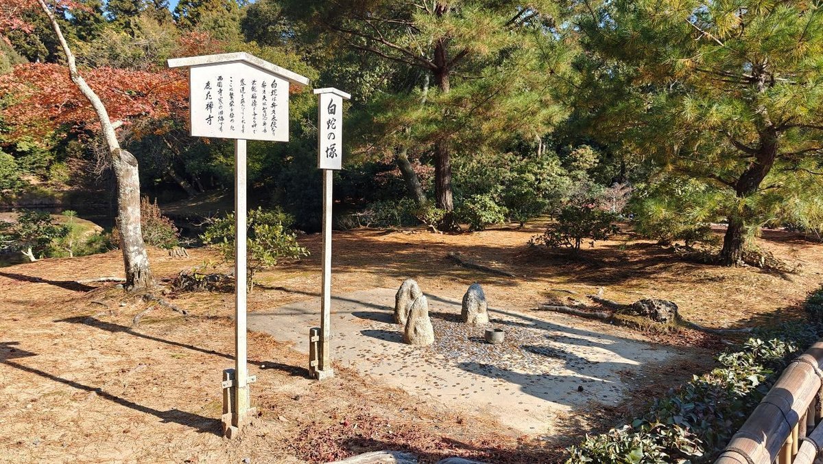 Japanese garden with signs, stones, pine trees, and autumn leaves.
