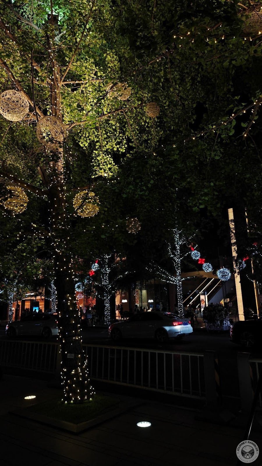 most notable feature of this street at night are the trees
