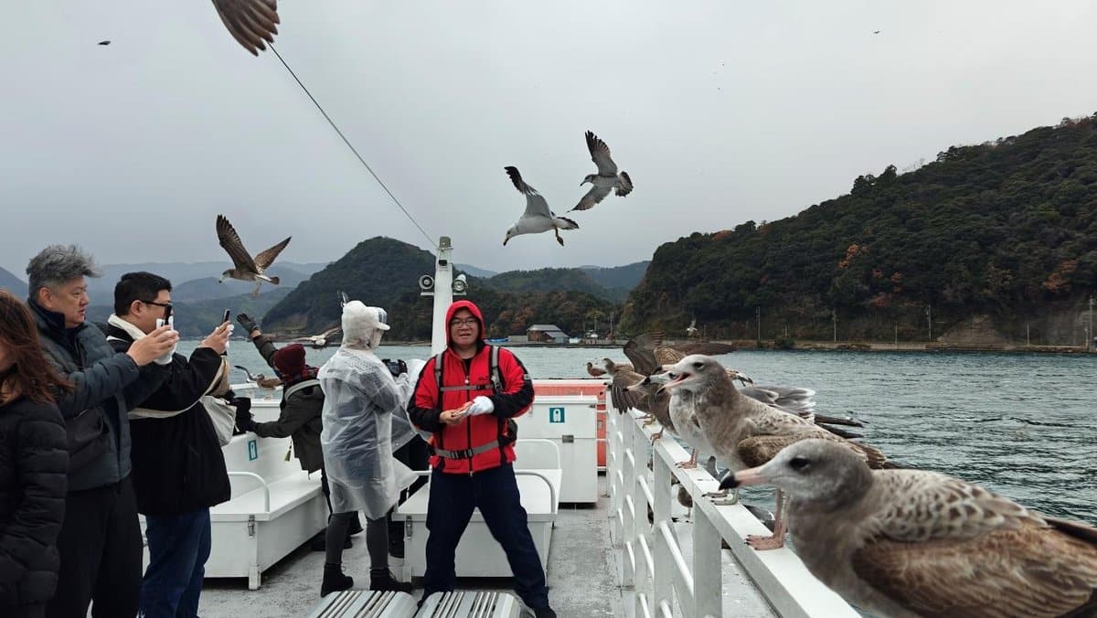 Passengers feed seagulls on a boat with scenic mountains in the background.