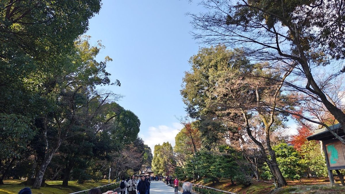 Pathway lined with trees under a clear blue sky, people strolling.