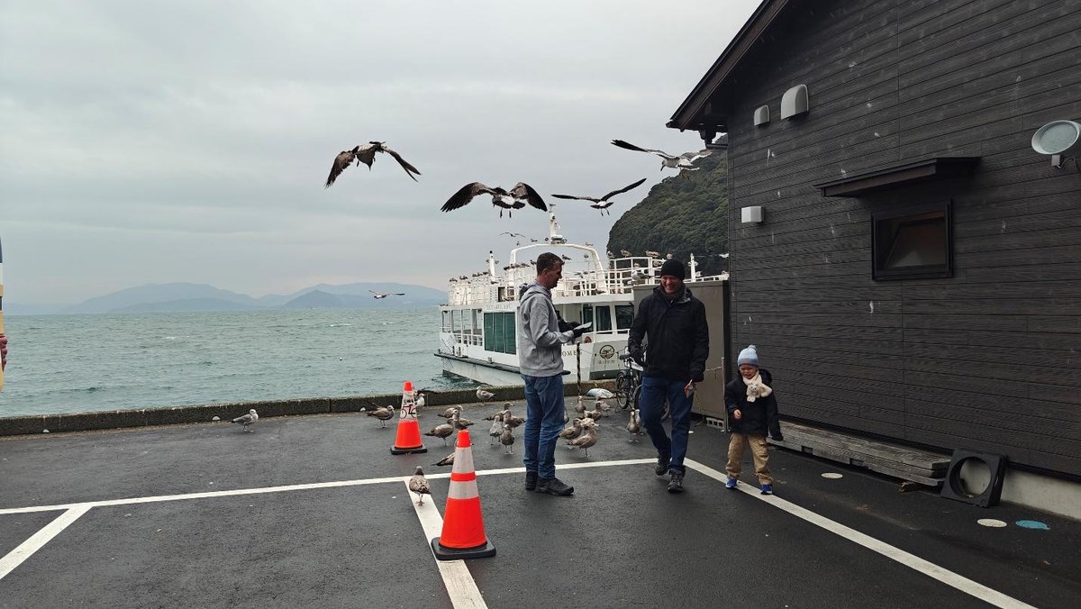 People near seagulls by the sea, cloudy sky, ferry, and orange cones.