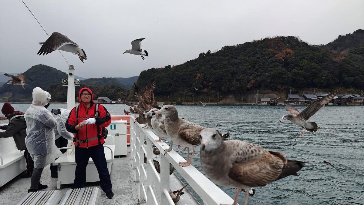 People on boat feeding seagulls with scenic hillside village backdrop.