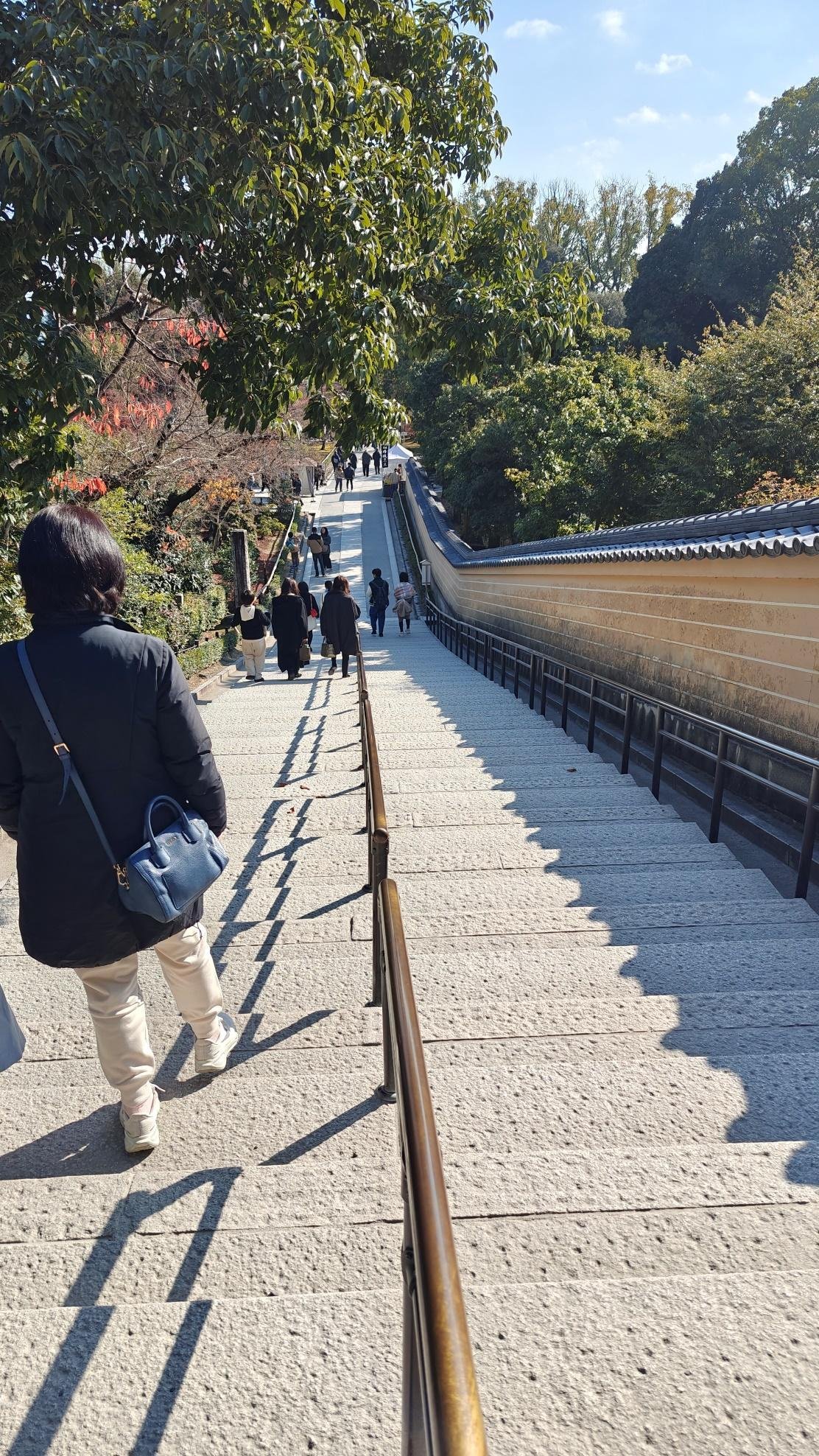 People walking on stone steps under trees, sunny day.