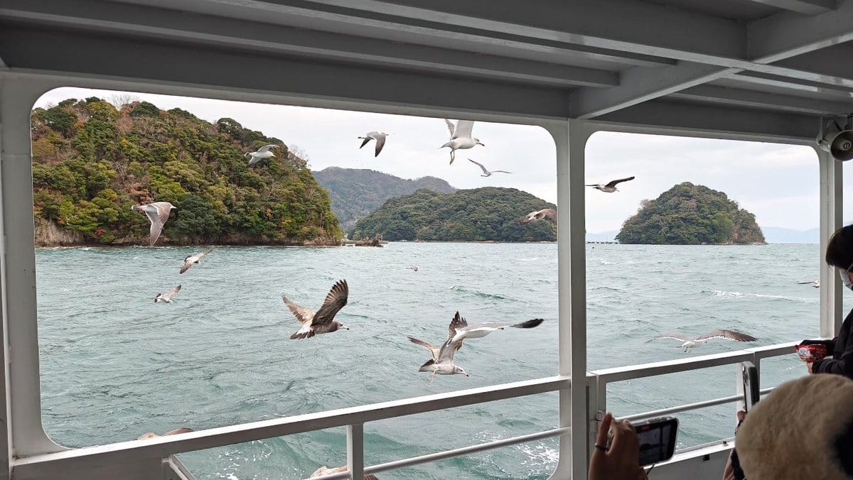 Seagulls flying over ocean near lush islands, viewed from boat.