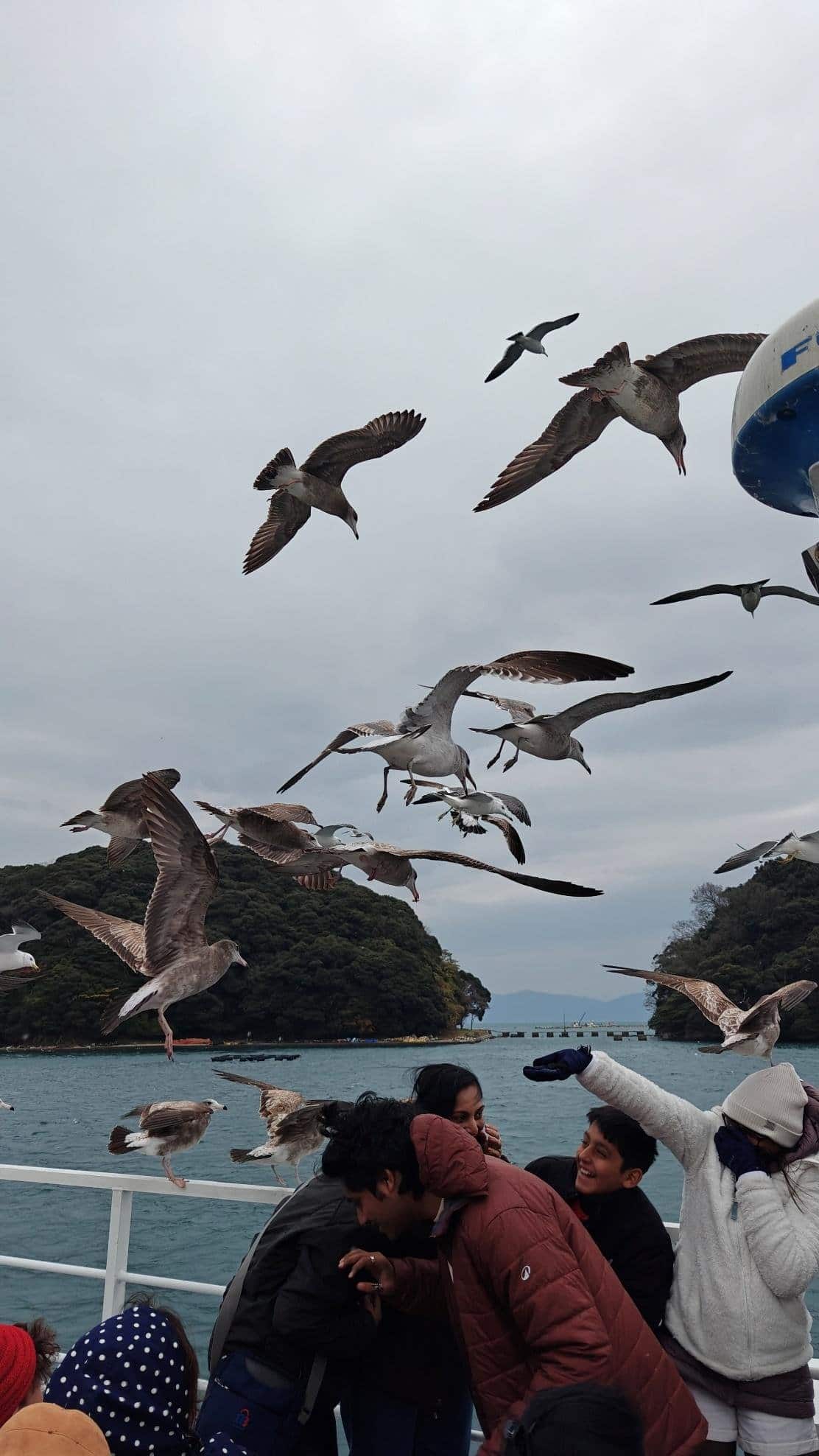 Seagulls flying over people on a boat, cloudy sky, playful mood.