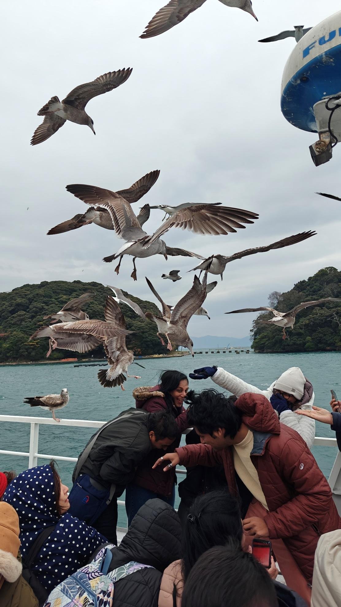 Seagulls flying over people on a boat, ocean in background.