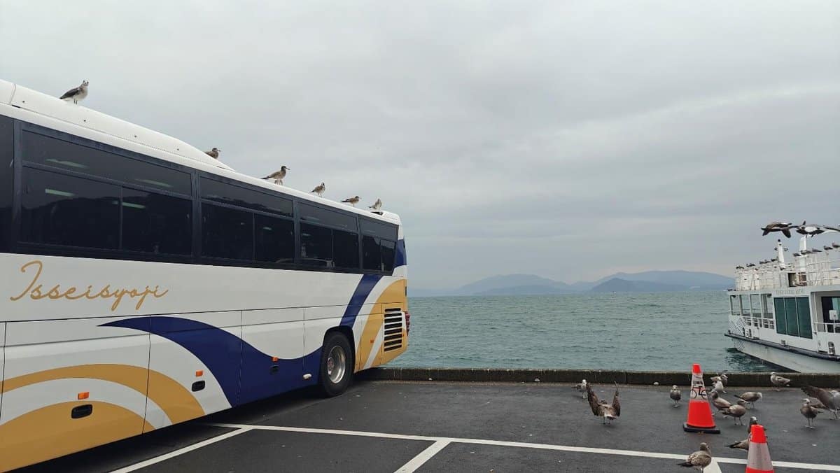 Seagulls on a parked bus by the sea, with ferry and cloudy sky.