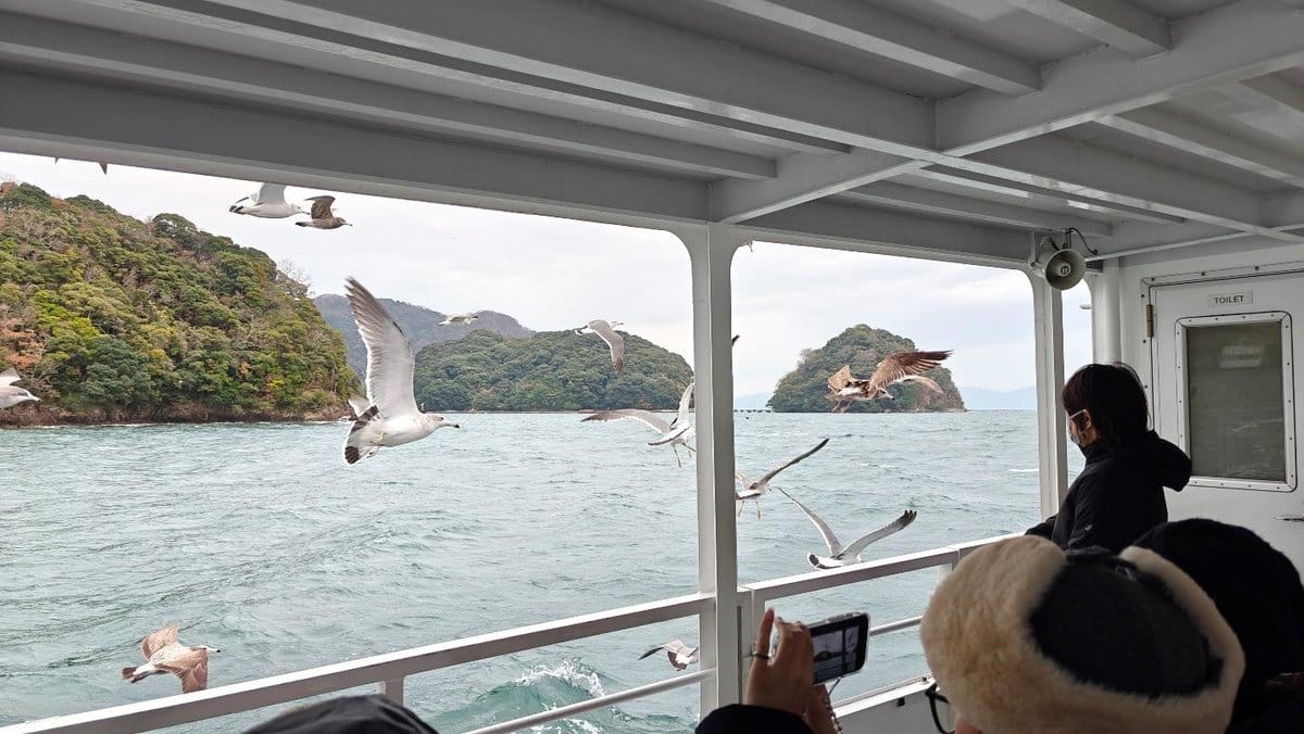 Seagulls soar alongside a ferry near lush islands under a cloudy sky.