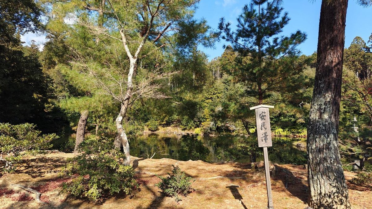 Serene park with trees, a wooden sign, and a tranquil pond under clear skies.