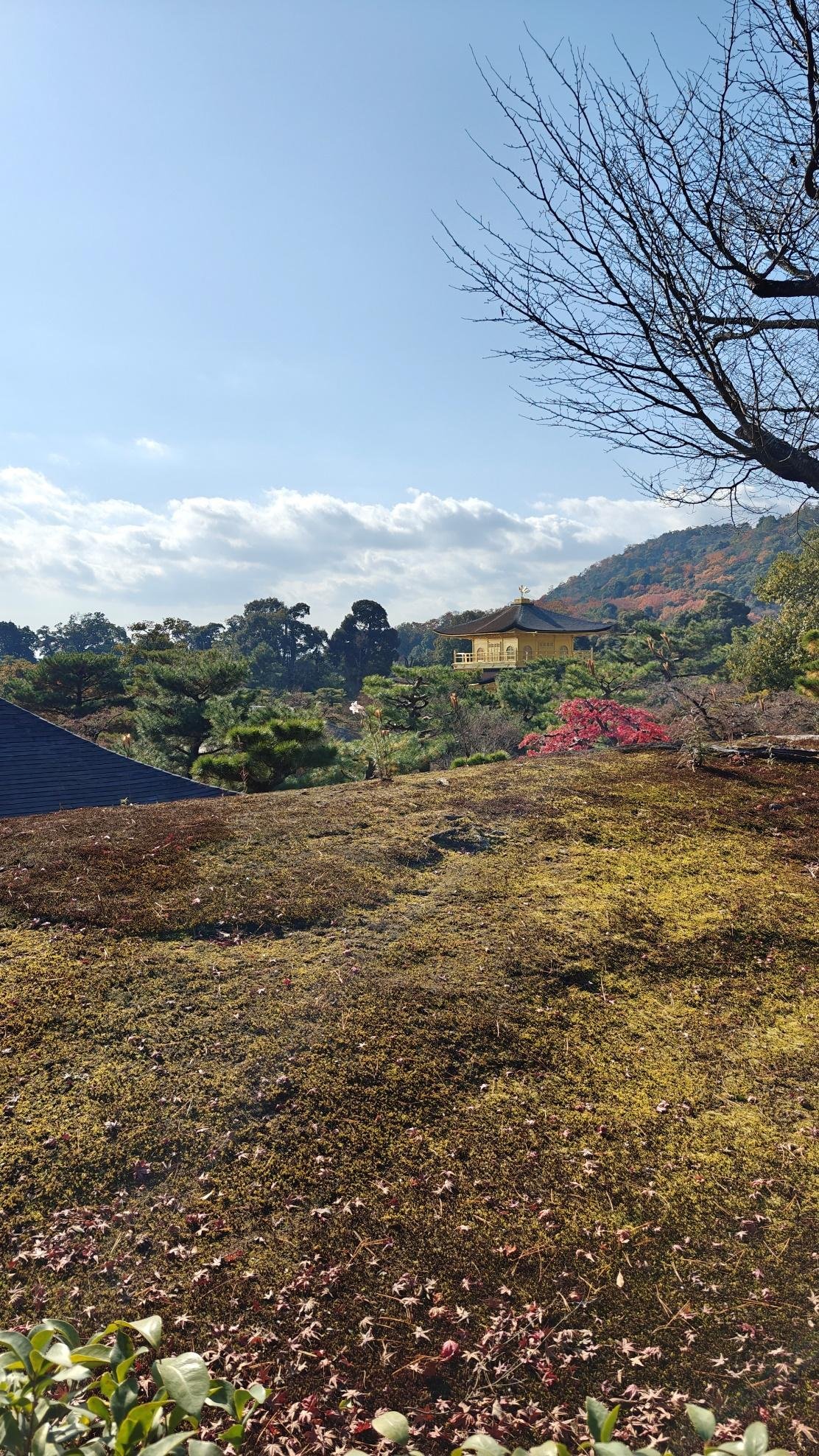 Sunlit temple with lush greenery and distant autumn hills under blue sky.