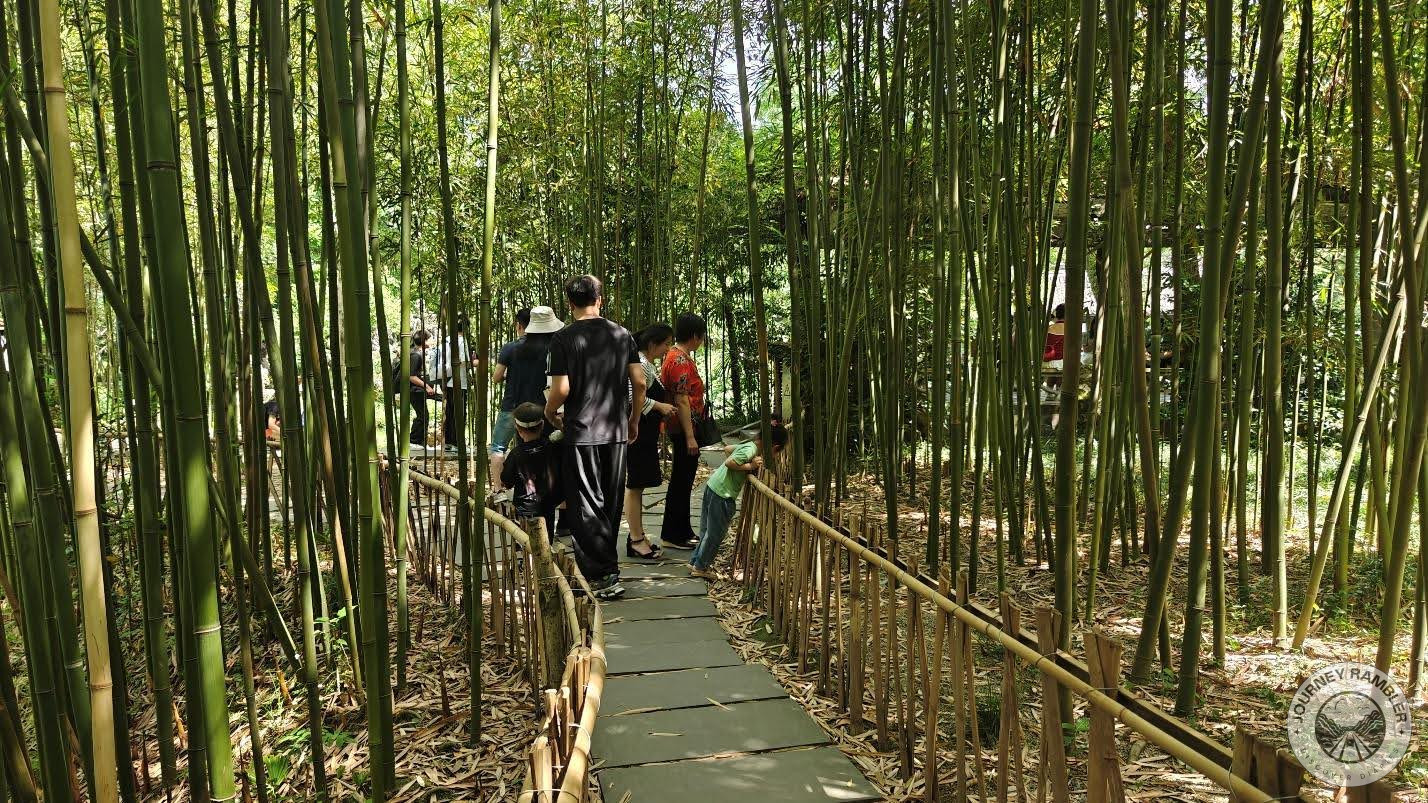 the path is relatively short