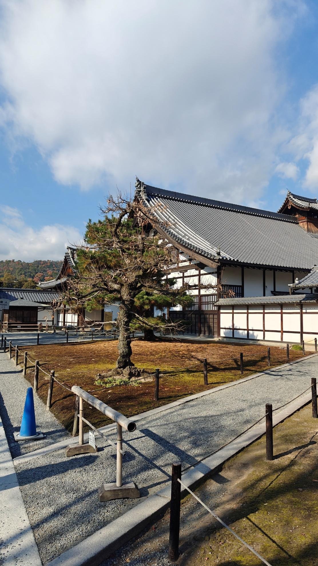 Traditional Japanese building with bonsai tree under cloudy sky.