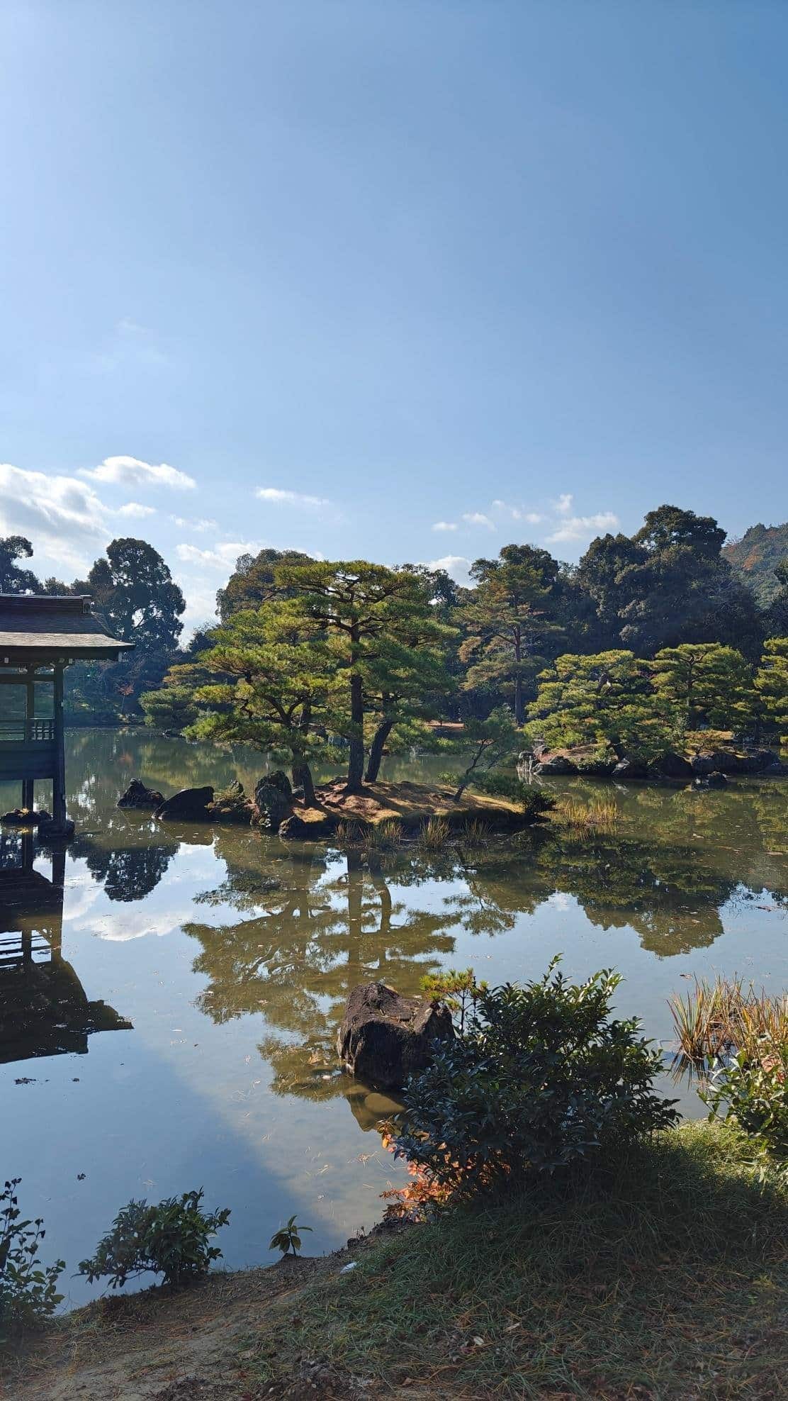 Tranquil Japanese garden pond with trees and pavilion reflection.