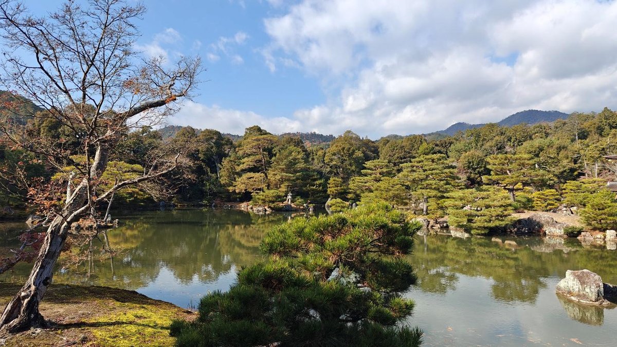 Tranquil lake with trees, clear sky, and distant mountains.