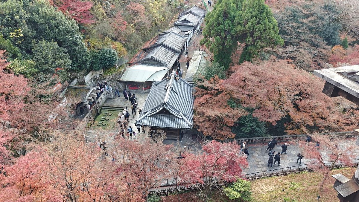 Aerial view of temple surrounded by autumn trees and visitors
