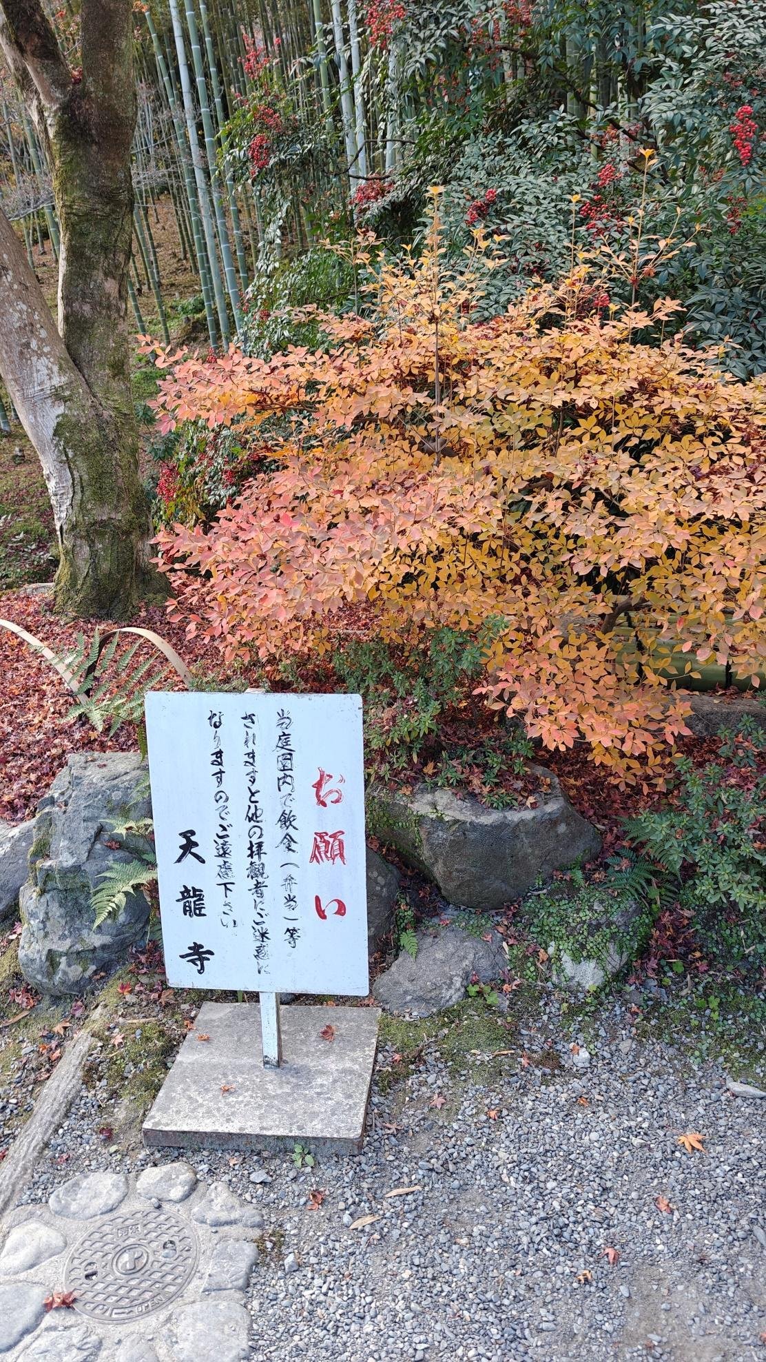Autumn foliage and sign in bamboo grove