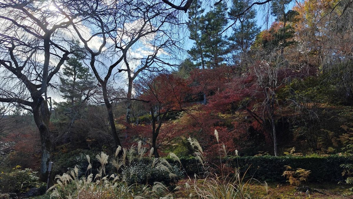 Autumn landscape with colorful trees and sunlight