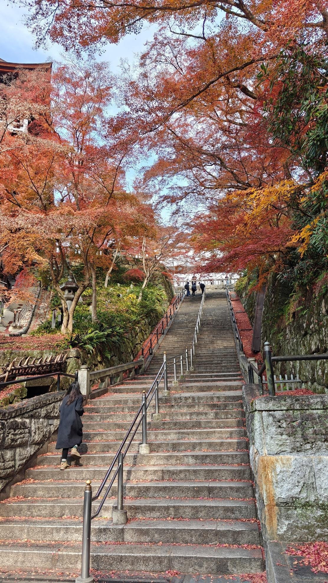Autumn leaves frame stone steps with person ascending