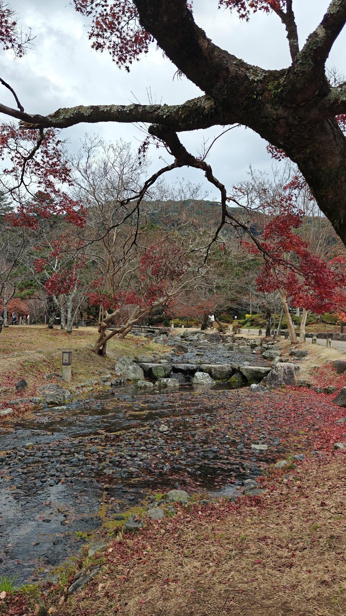 Autumn park with red leaves and a stream under cloudy sky