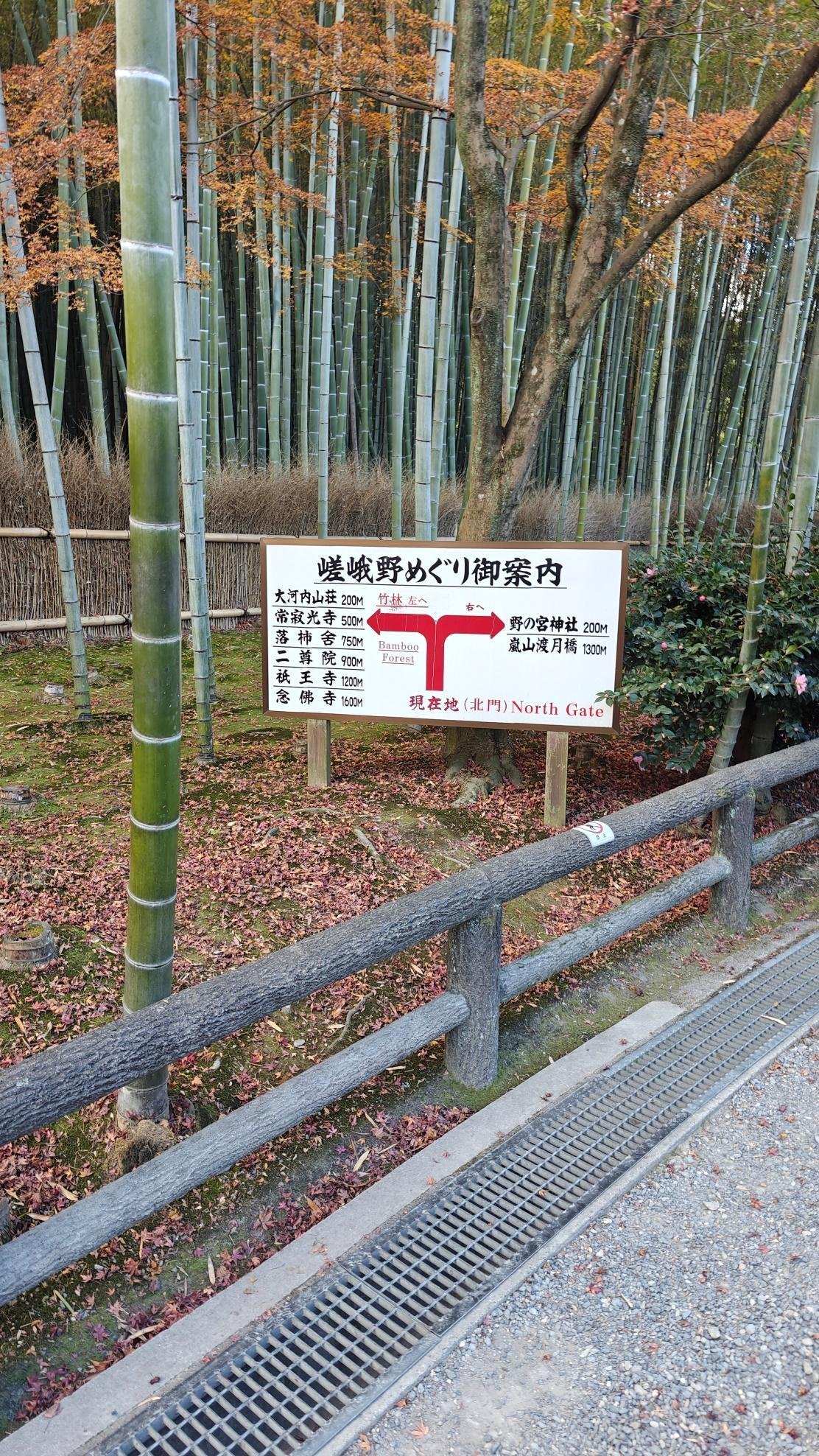 Bamboo forest with autumn leaves and a directional sign