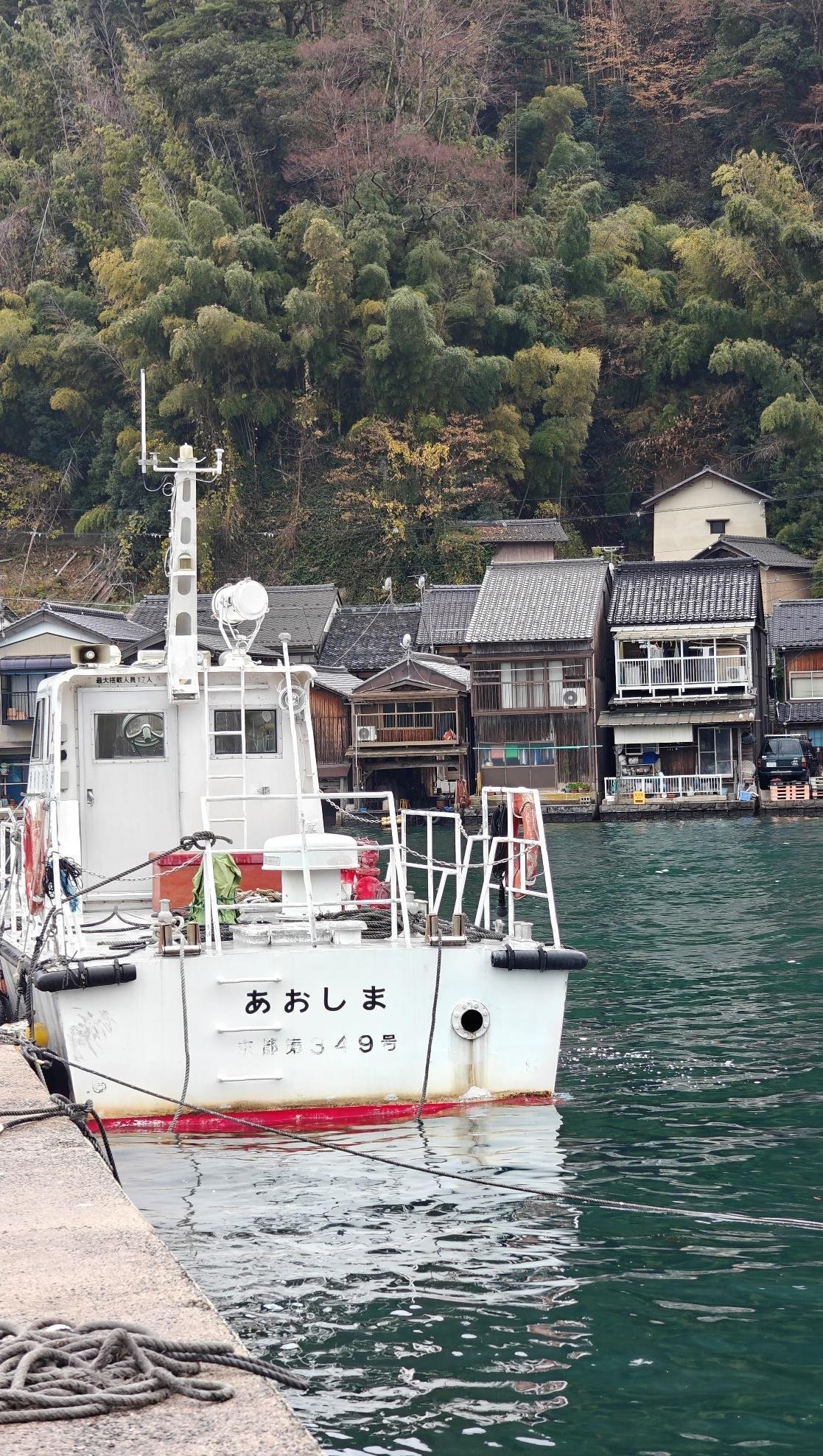 Boat docked by waterfront houses and lush hillside