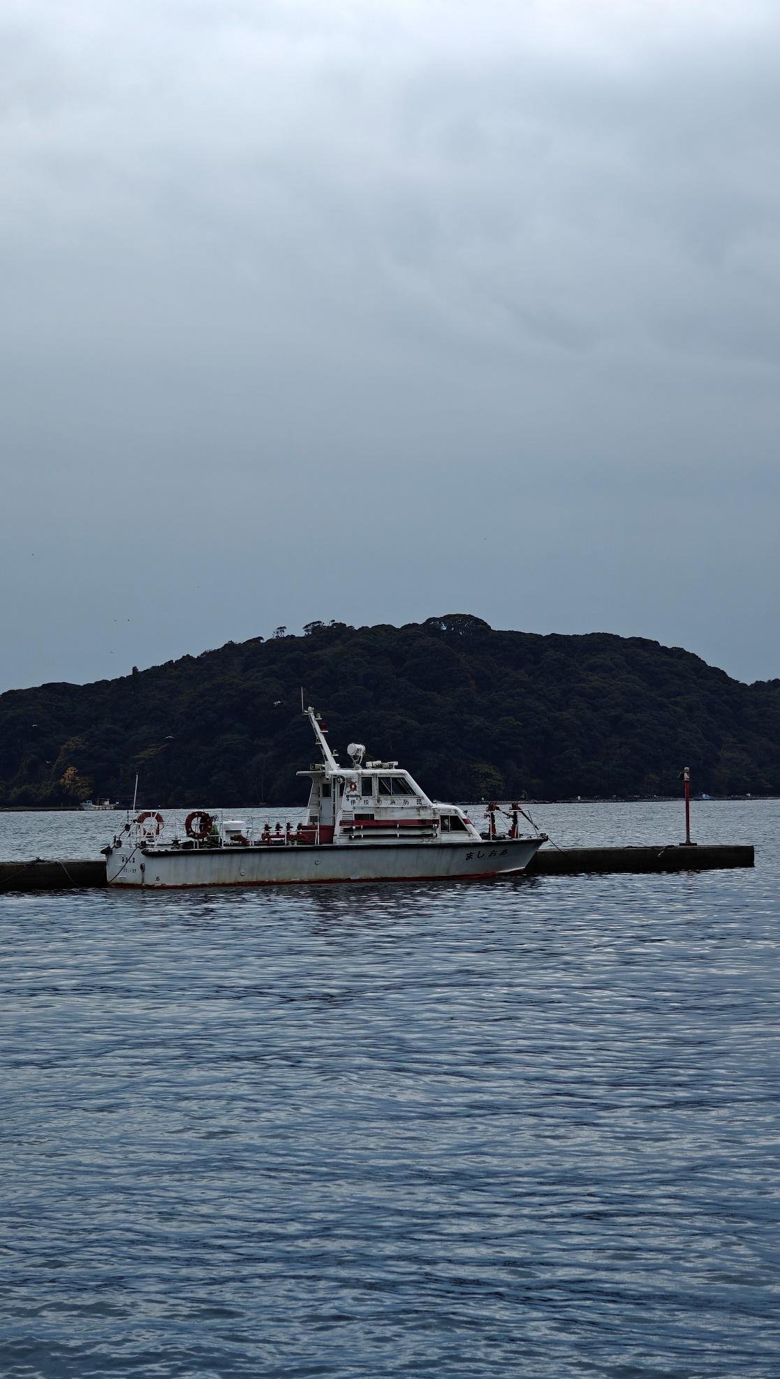 Boat near a dock with green island background