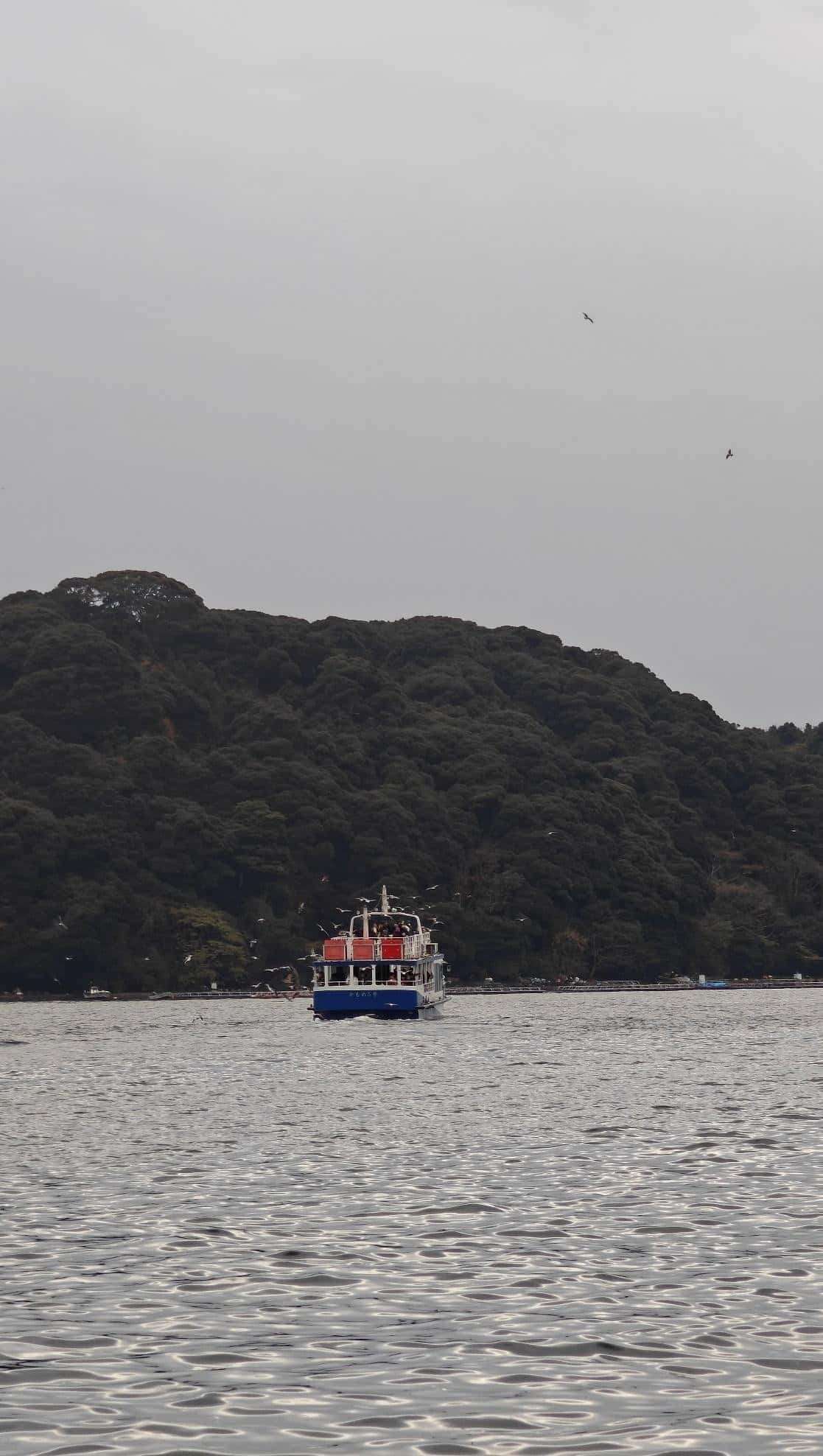 Boat on calm water with forested hills and cloudy sky