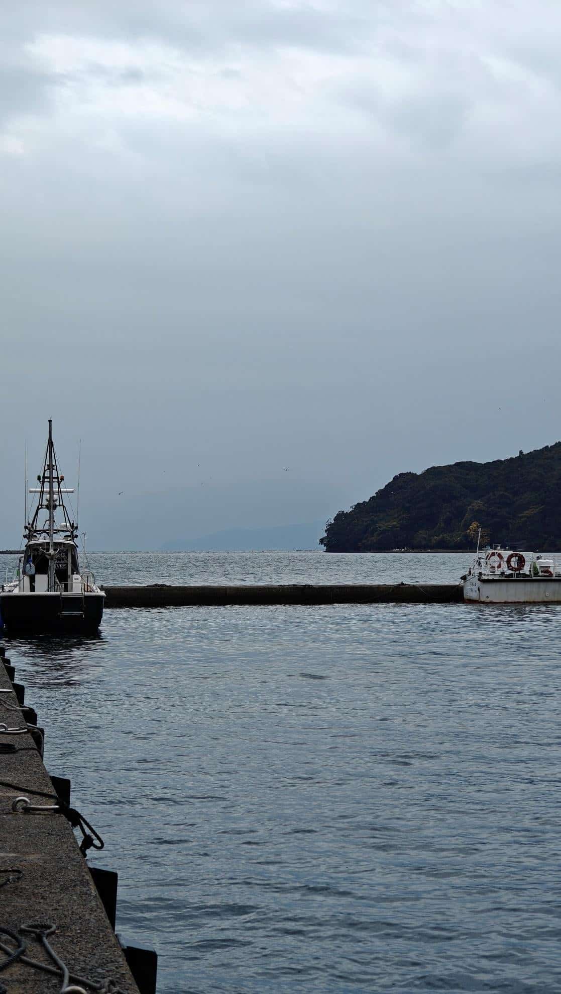 Boats docked on a calm, cloudy waterfront