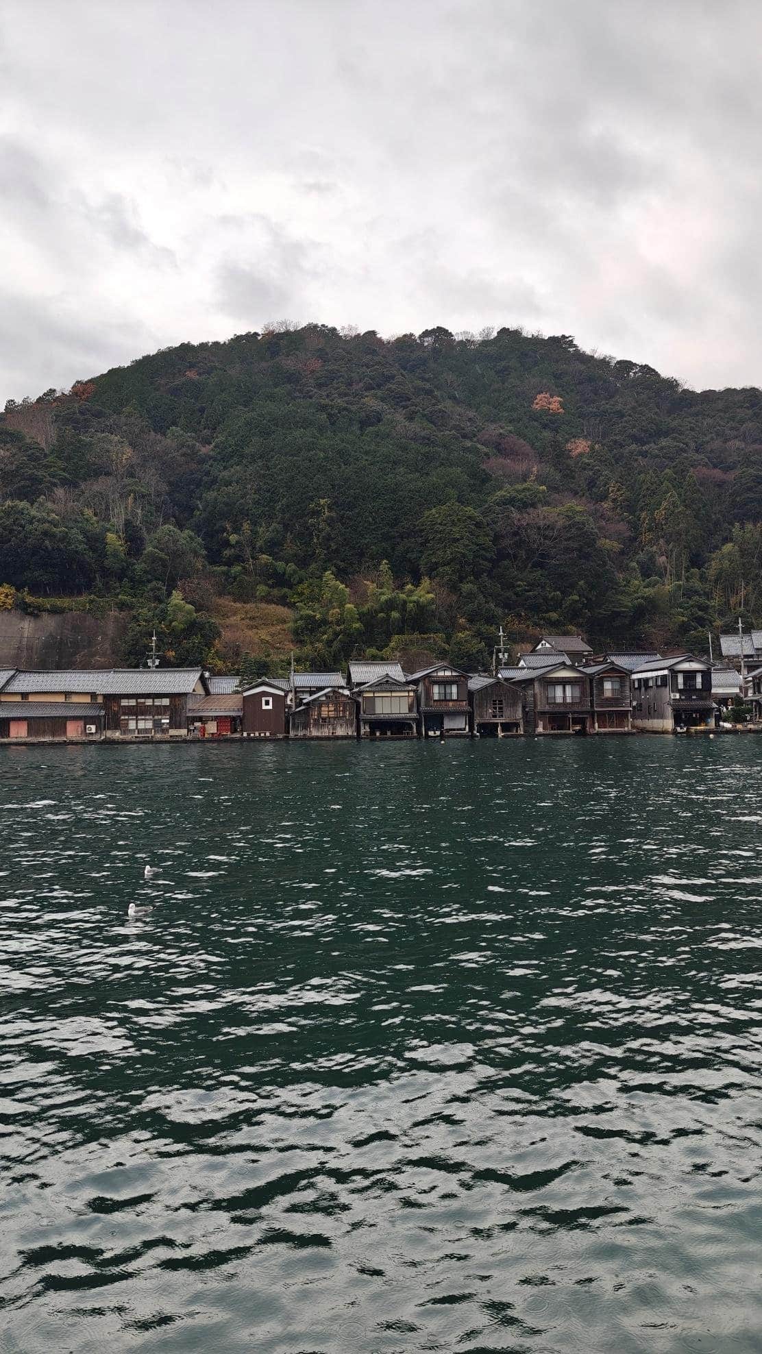 Coastal village with mountain backdrop under cloudy sky