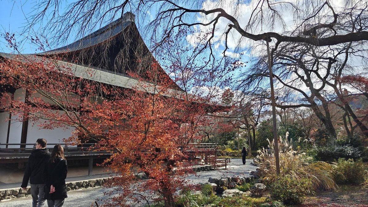 Couple walking by traditional Japanese building in autumn garden