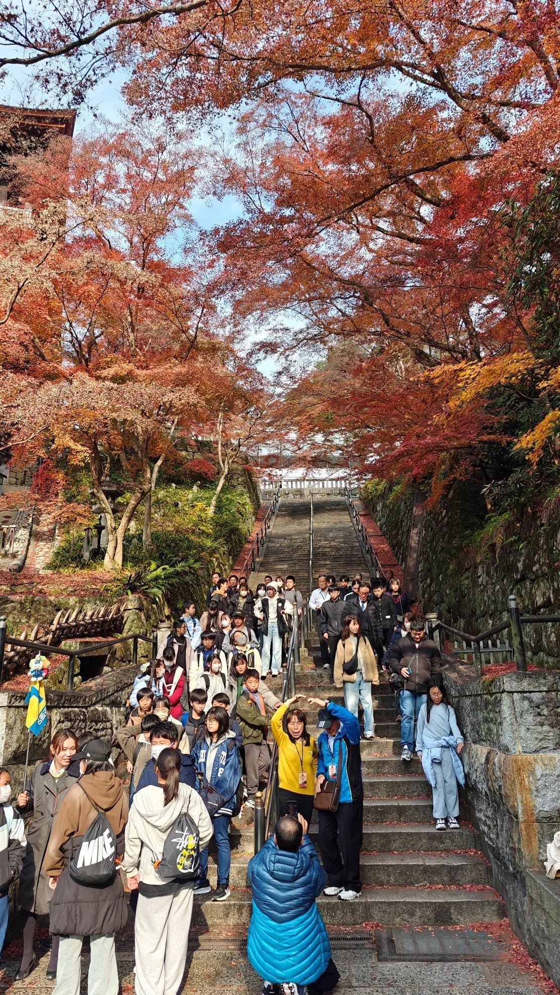 Crowd on stone steps surrounded by autumn trees