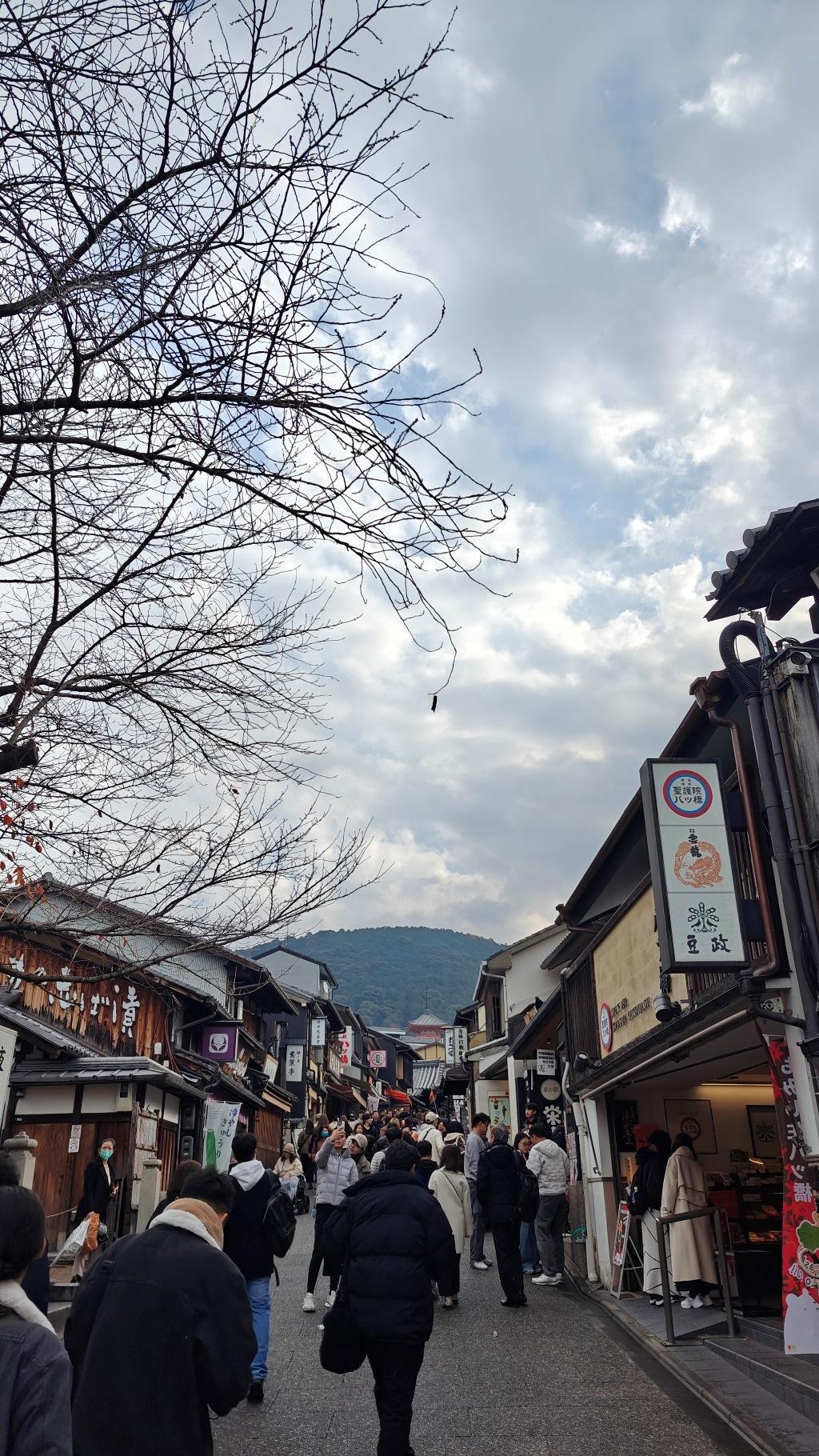 Crowded street with shops and bare trees under cloudy sky