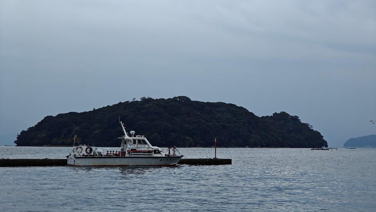 Ferry near lush island under overcast sky