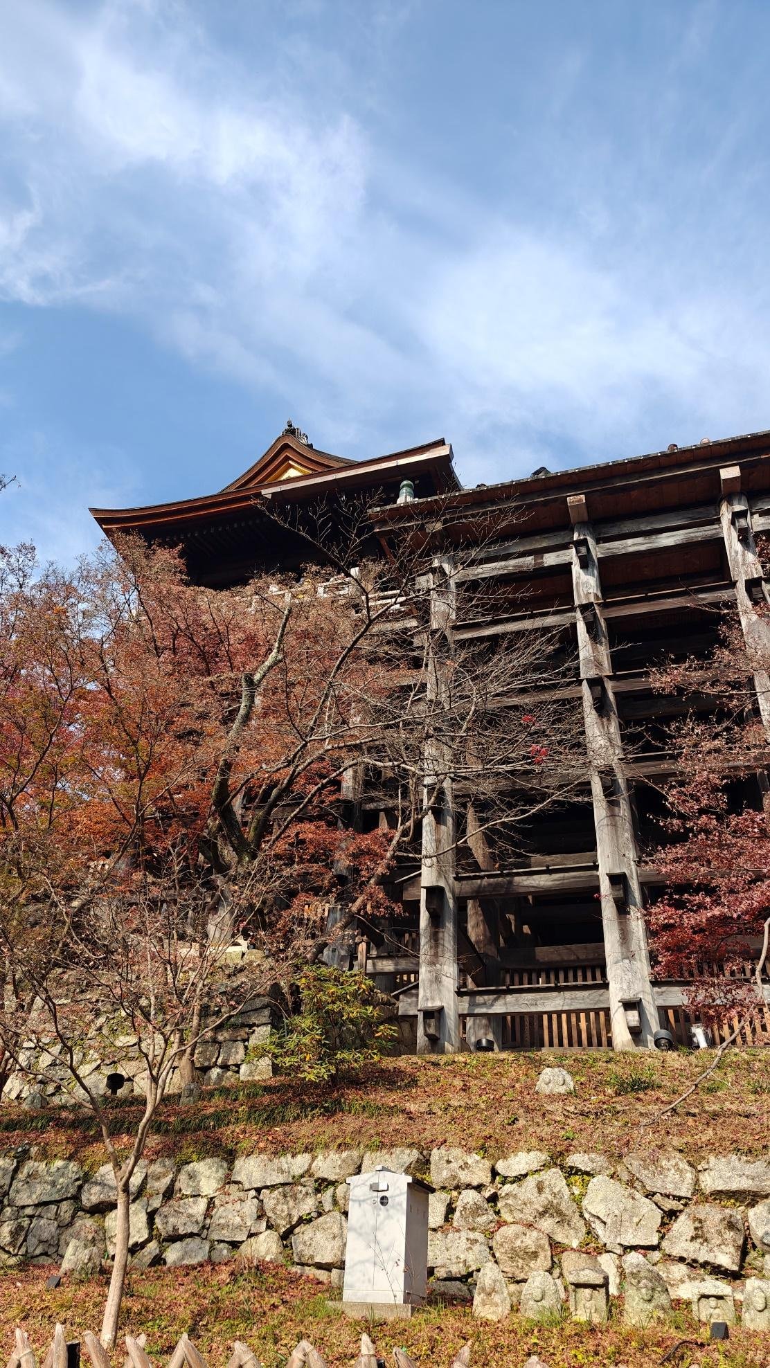 Historic wooden temple with autumn foliage under blue sky