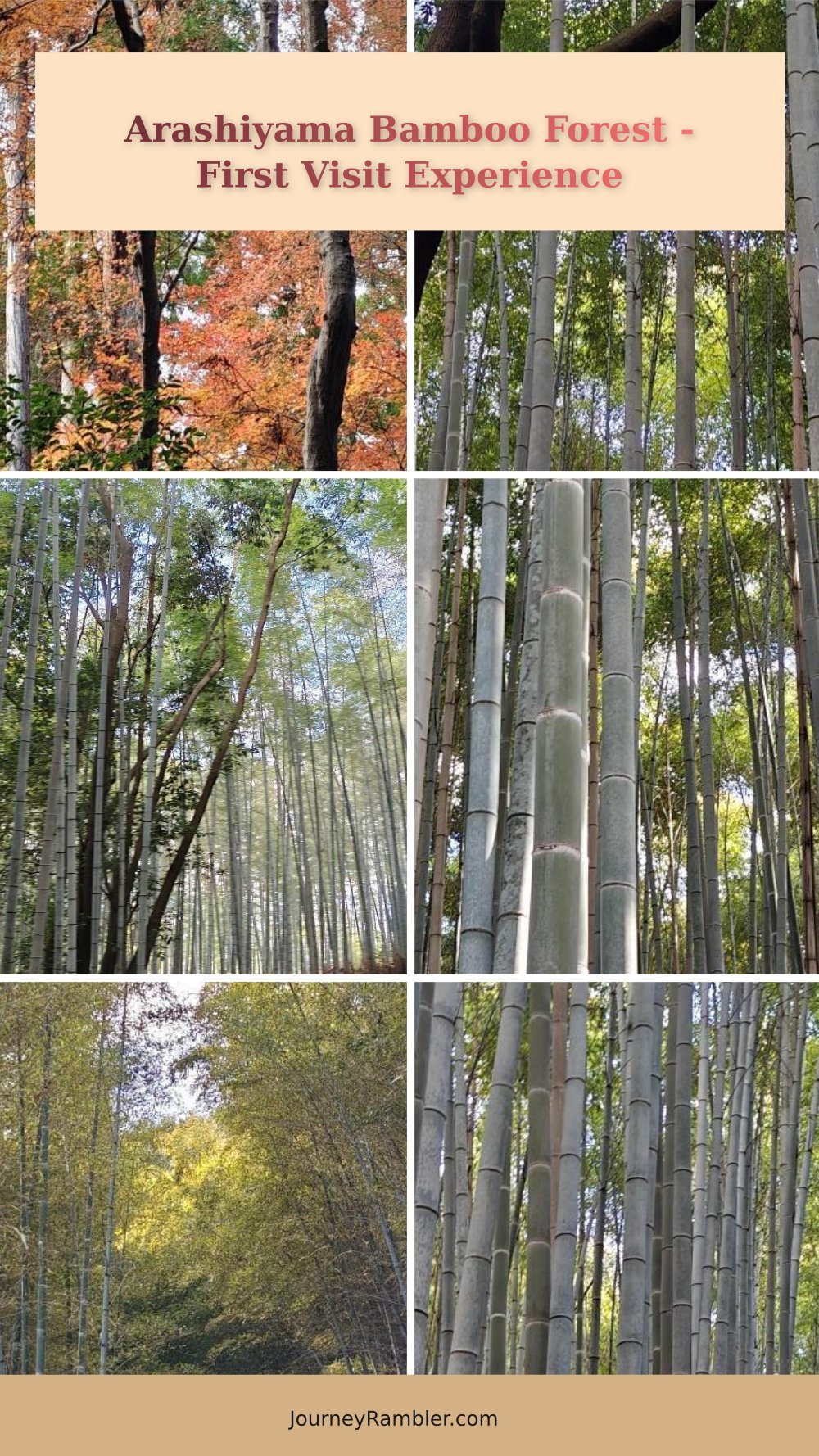 I Finally Saw the Bamboo Forest of Arashiyama in Kyoto