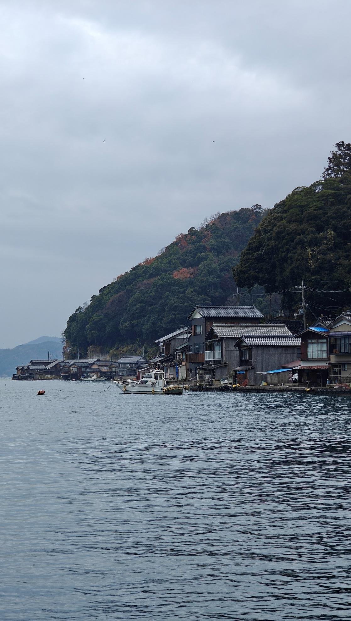 Lakeside village with traditional wooden houses and hills