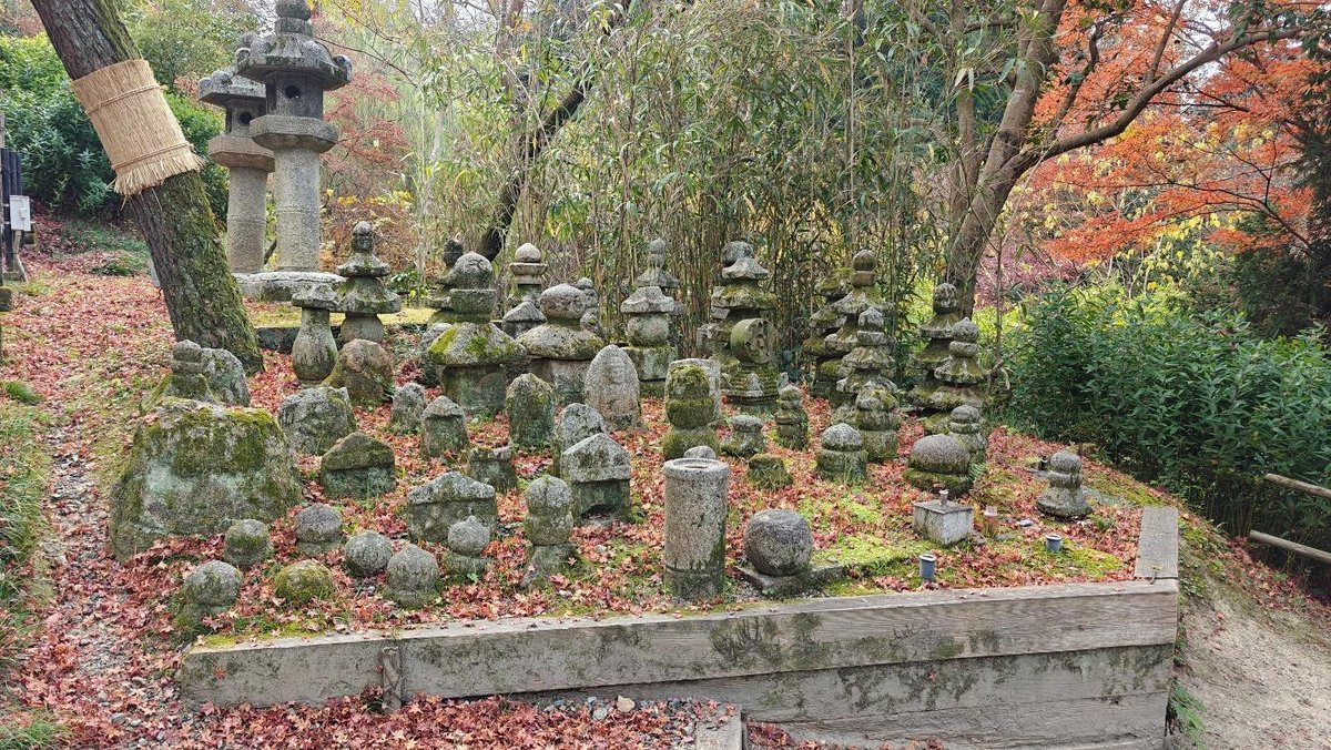 Moss-covered stone lanterns in a leafy Japanese garden