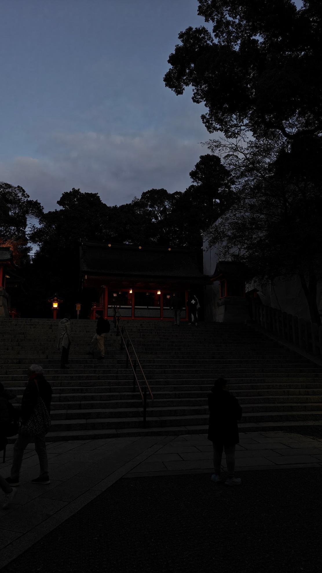 Night view of shrine with steps and trees