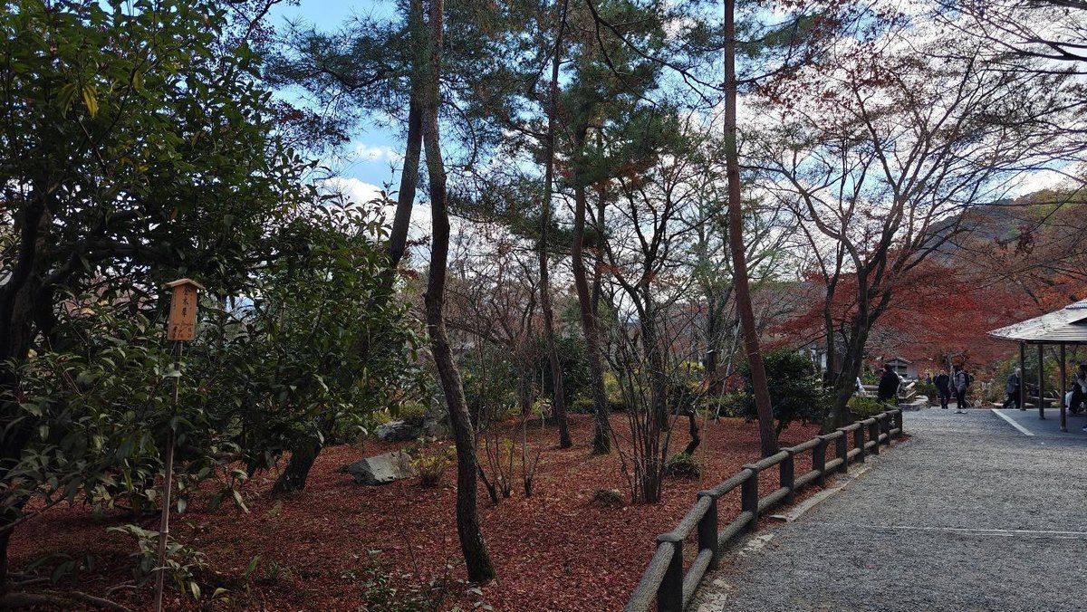Park path with trees and autumn foliage under blue sky
