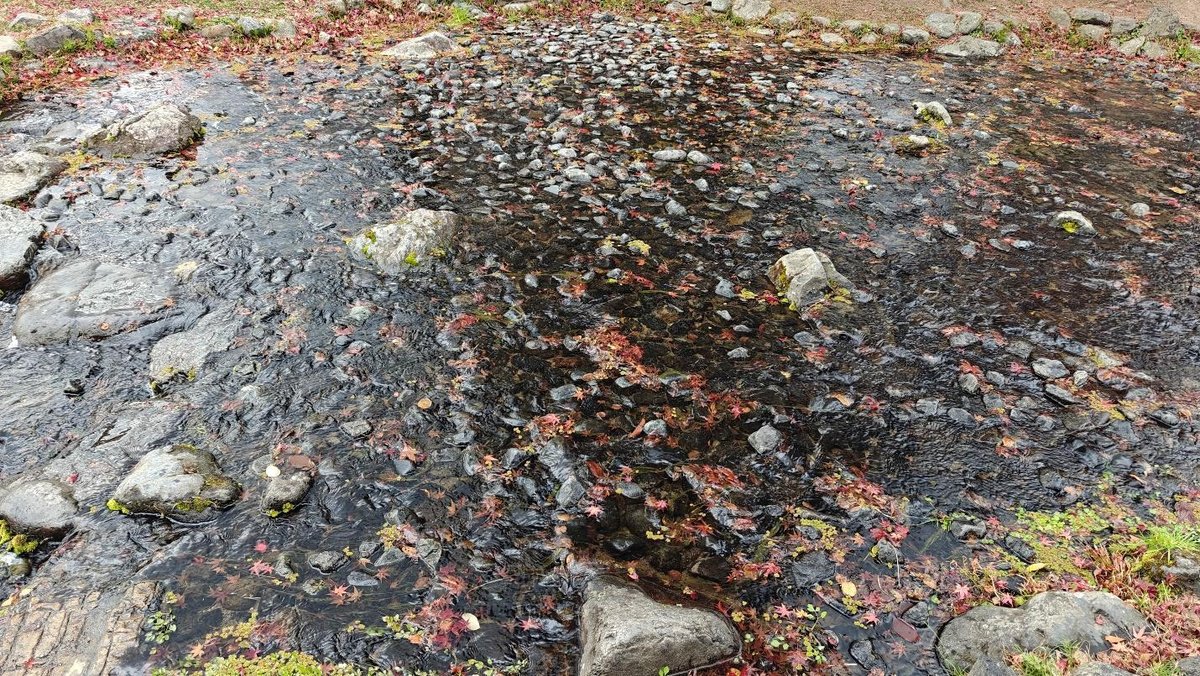 Pebble-filled stream with red autumn leaves and stones