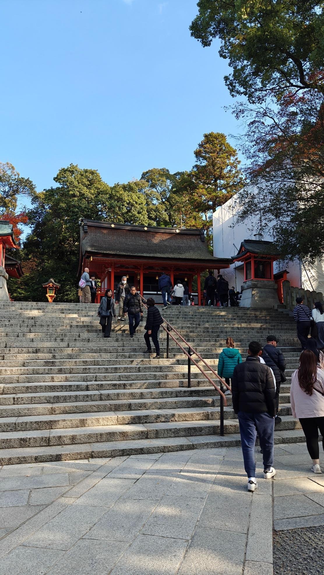 People climbing steps to traditional shrine surrounded by trees