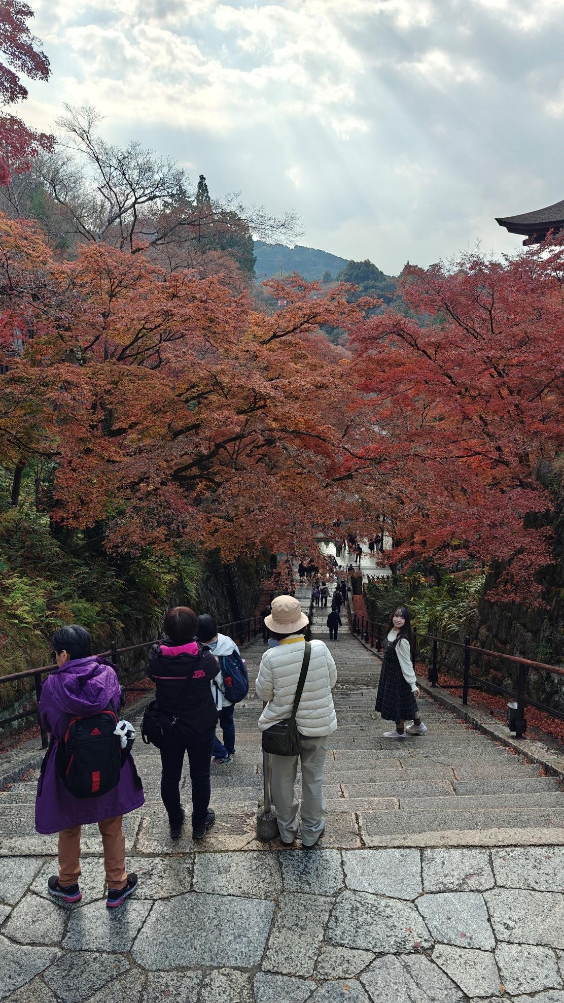 People walking down steps under vibrant autumn trees